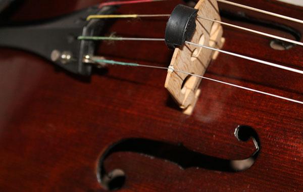 Viola Fest